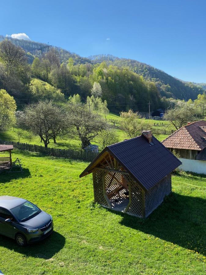 Casa Alesi Villa Dragoslavele Exterior foto